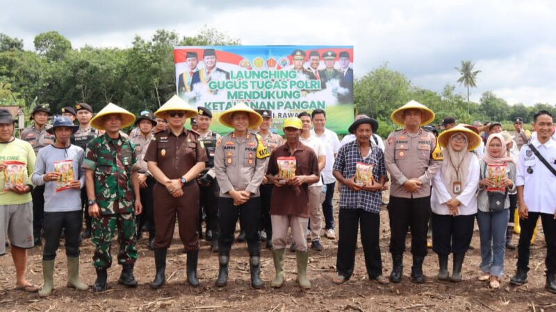 Sukseskan Ketahanan Pangan Nasional, Polres Musi Rawas Bersama Stakeholders Terkait Tanam dan Berikan Bibit Jagung 