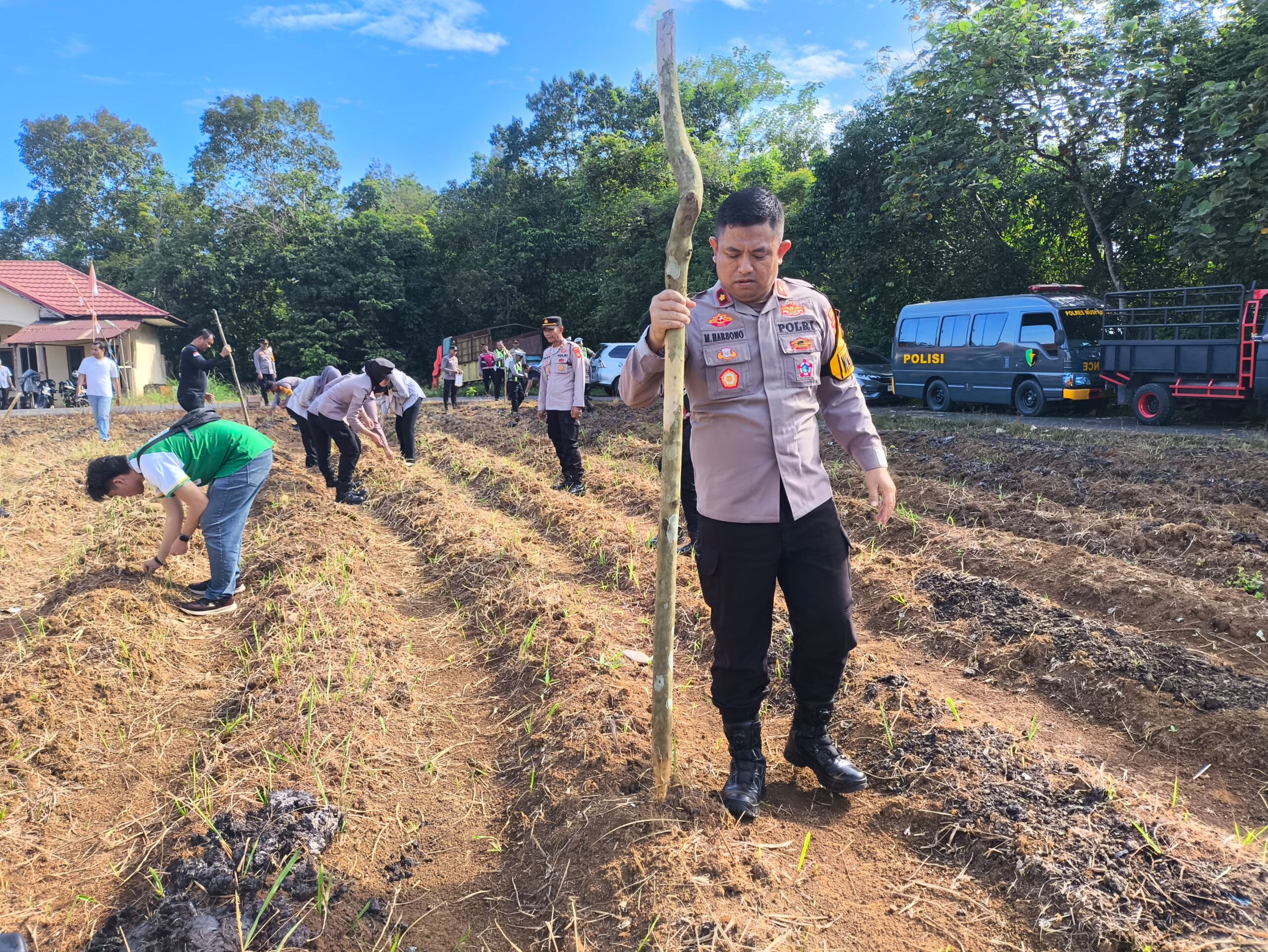 Sukseskan Program Presiden RI di Bidang Ketahanan Pangan, Polres Musi Rawas “Sulap” Lahan Asrama Jadi Kebun Pangan 