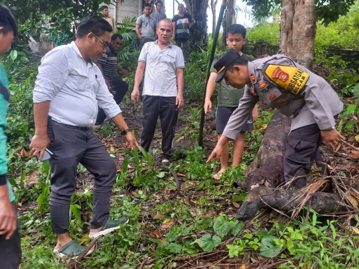 Terpeleset Dan Terjatuh Dari Pohon Durian, Kakek Salamun ( 72 th ) Meninggal Dunia