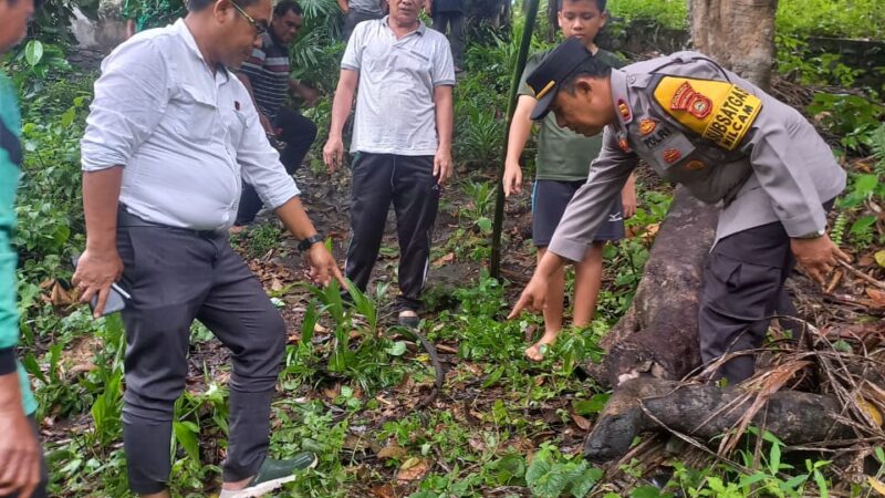 Terpeleset Dan Terjatuh Dari Pohon Durian, Kakek Salamun ( 72 th ) Meninggal Dunia