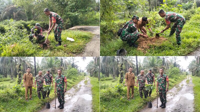 Bati Tuud Koramil 06/ MB dan Babinsa Melaksanakan Penghijauan di Kecamatan Marbau