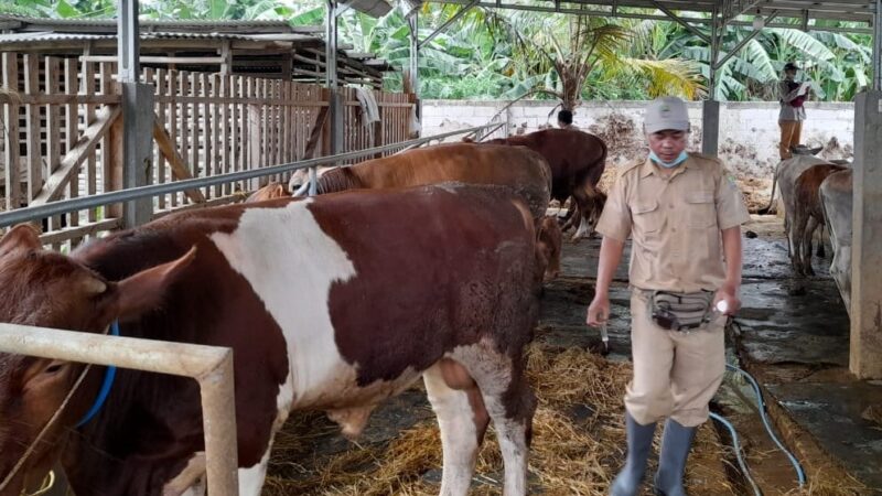 Dinas Pertanian Kabupaten Bekasi Antisipasi Penyebaran Penyakit Mulut dan Kuku pada Hewan Ternak