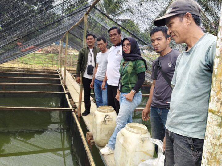Dukung Program Ketahanan Pangan, Pemdes Pinang Jawa Ii Budidaya Kan Ikan Lele