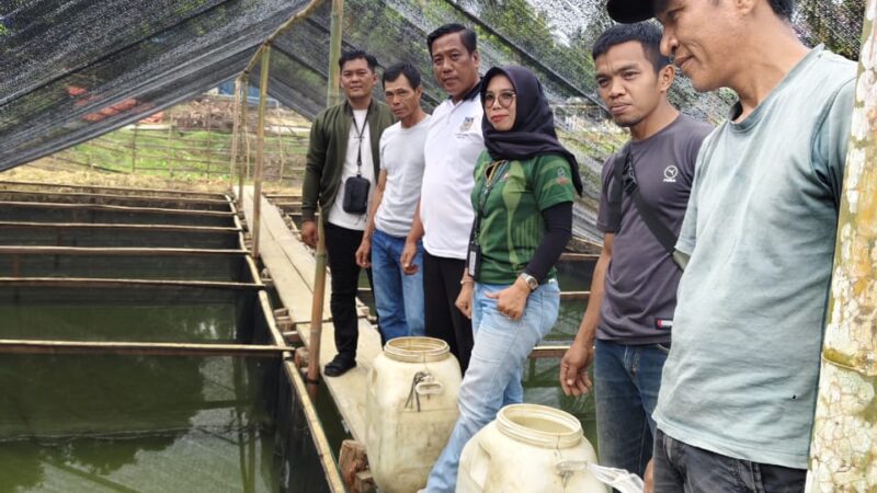 Dukung Program Ketahanan Pangan, Pemdes Pinang Jawa Ii Budidaya Kan Ikan Lele