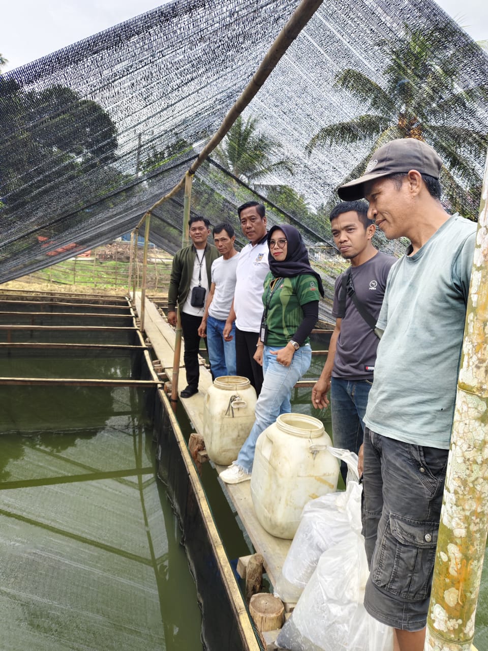 Dukung Program Ketahanan Pangan, Pemdes Pinang Jawa Ii Budidaya Kan Ikan Lele