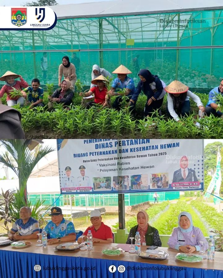 Panen Sayur dan Vaksinasi Rabies Gratis, Pemkot Lubuk Linggau Dukung Gerakan Zero Rabies