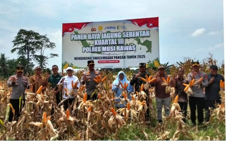 Polres Musi Rawas Bersama Forkopimda dan Kelompok Tani Panen Raya Jagung