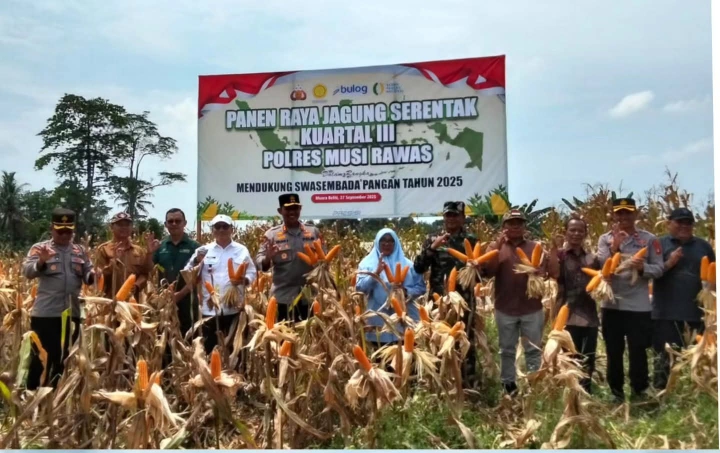Polres Musi Rawas Bersama Forkopimda dan Kelompok Tani Panen Raya Jagung