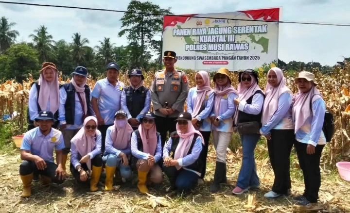 Porkopimda Dan Kelompok Tani Bersama Polres Musi Rawas Panen Raya