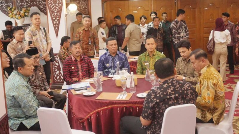 Audiensi Bersama Wamen PAN-RB, Wabup Tanjab Barat Perjuangkan Nasib Tenaga Honorer Non-Database