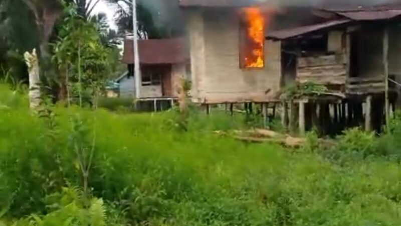 KKB Tembak Warga Sipil di Asmat, Rumah Dibakr