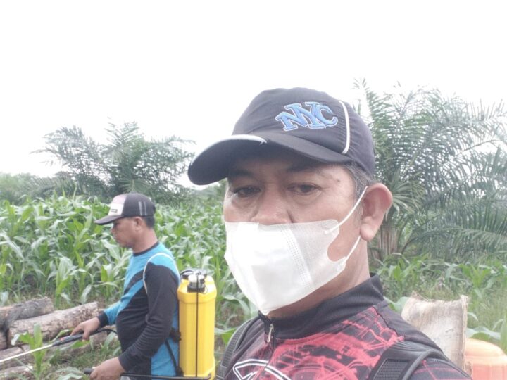 Dukung Ketahanan Pangan Tahun 2025, Desa Air Dingin Laksanakan Usaha Penanaman Jagung