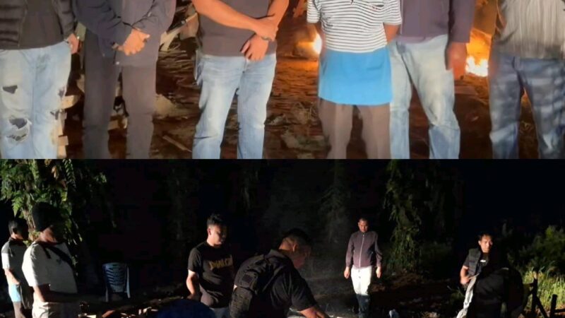 Tenda Sabu Dibakar! Polsek Kualuh Hulu Gerebek Sarang Narkoba di Gunting Saga