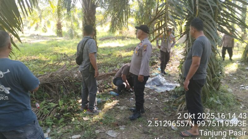 Polsek Kualuh Hulu Grebek Sarang Narkoba di Kampung Limpul, Warga Apresiasi Tindakan Tegas
