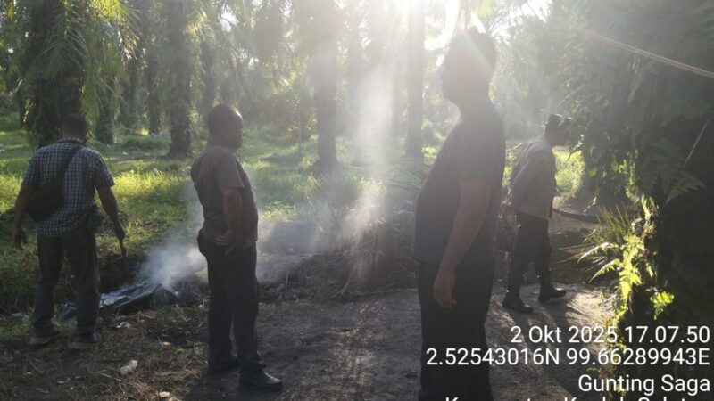 Polsek Kualuh Hulu Gempur Sarang Narkoba di Gunting Saga