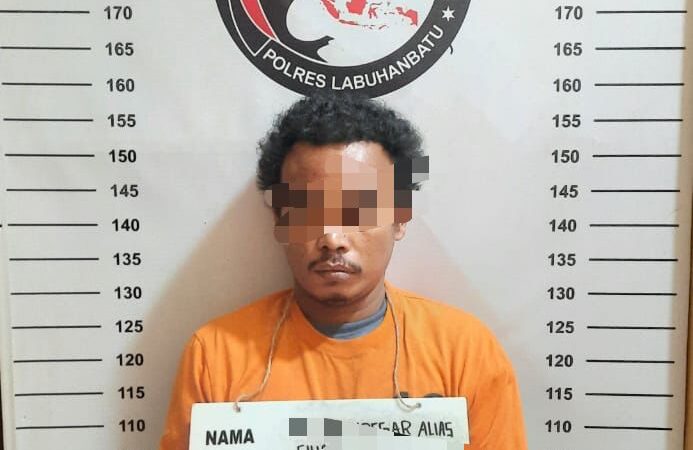 Berkat Informasi Masyarakat, Polres Labuhanbatu Tangkap Pengguna Sabu
