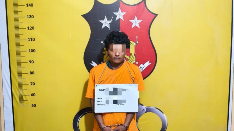 Curi AC Warga, Pria di Sei Berombang Ditangkap Polisi