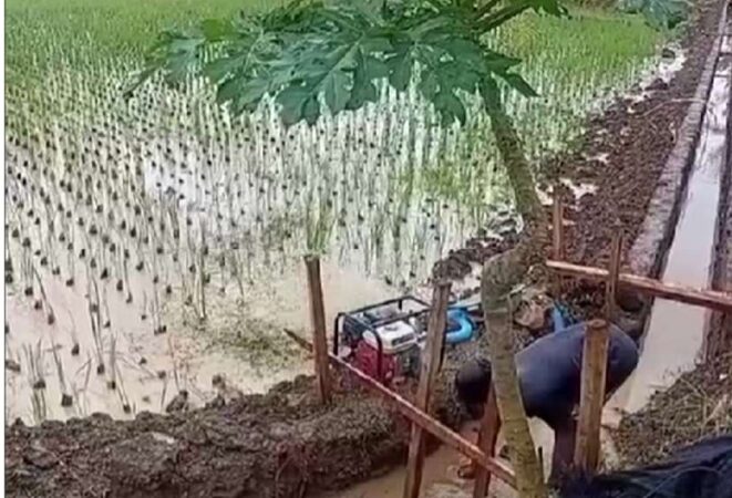 Satuan kerja OP SDA Citanduy Klarifikasi Polemik Proyek Inpres 02 Tahap II di Desa Paledah