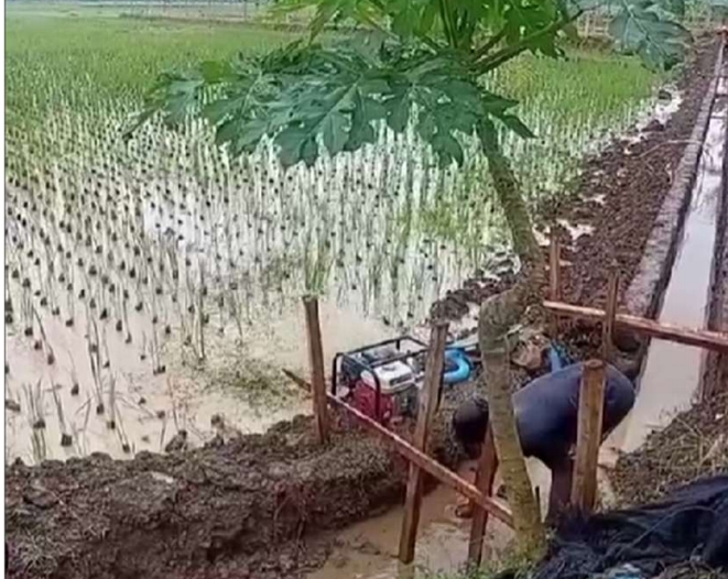 Satuan kerja OP SDA Citanduy Klarifikasi Polemik Proyek Inpres 02 Tahap II di Desa Paledah