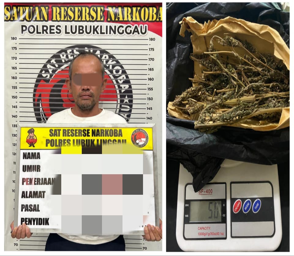 Satres Narkoba Polres Lubuklinggau Tangkap Pria Paruh Baya Pembawa Ganja Kering Siap Edar 
