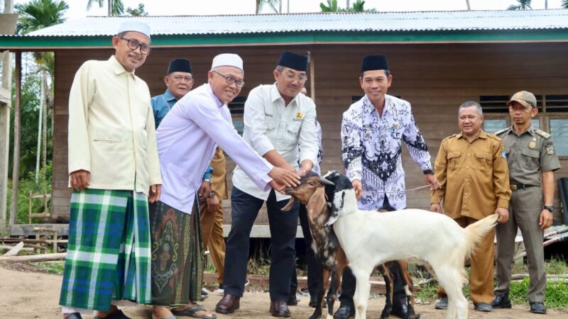 Bupati Serahkan Bantuan Kambing dan Dana Pengembangan untuk Pesantren di Kecamatan Pengabuan