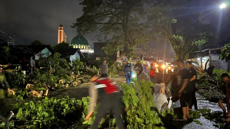 Pohon Besar Tumbang dan Melintang di Tengah Jalan ,Satsamapta Polres Lubuklinggau Terjun ke Kokasi 