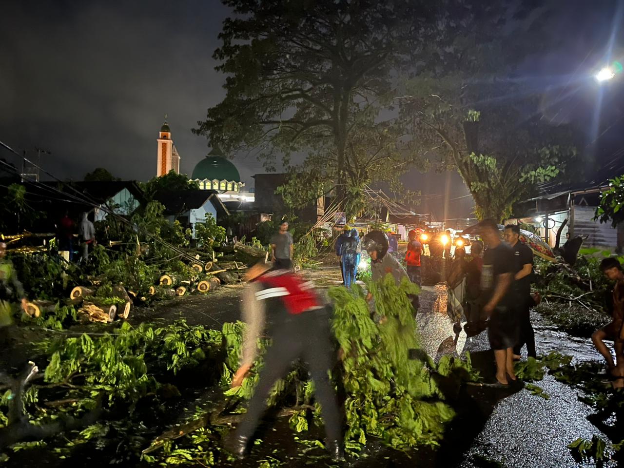 Pohon Besar Tumbang dan Melintang di Tengah Jalan ,Satsamapta Polres Lubuklinggau Terjun ke Kokasi 