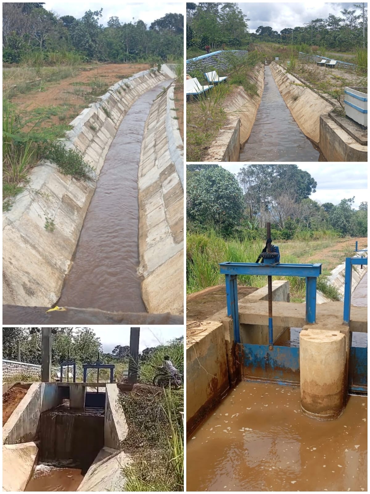Infrastruktur Pembangunan Pertanian Telah Rampung, Petani Masih menunggu program Cetak Sawah selanjutnya
