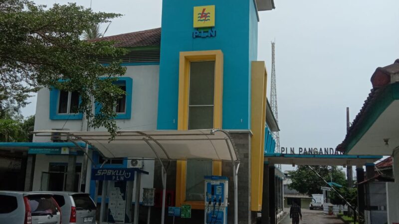 Terima Pembayaran Dari Pelanggaran Via Aplikasi DANA, Diduga Oknum P2TL PLN Langgar SOP