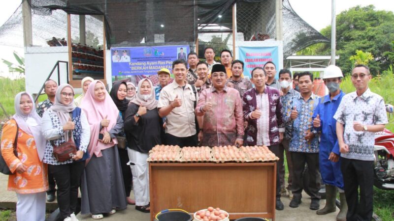 Berkah Madani Farm Perkuat Ketahanan Pangan dan Ekonomi Masyarakat
