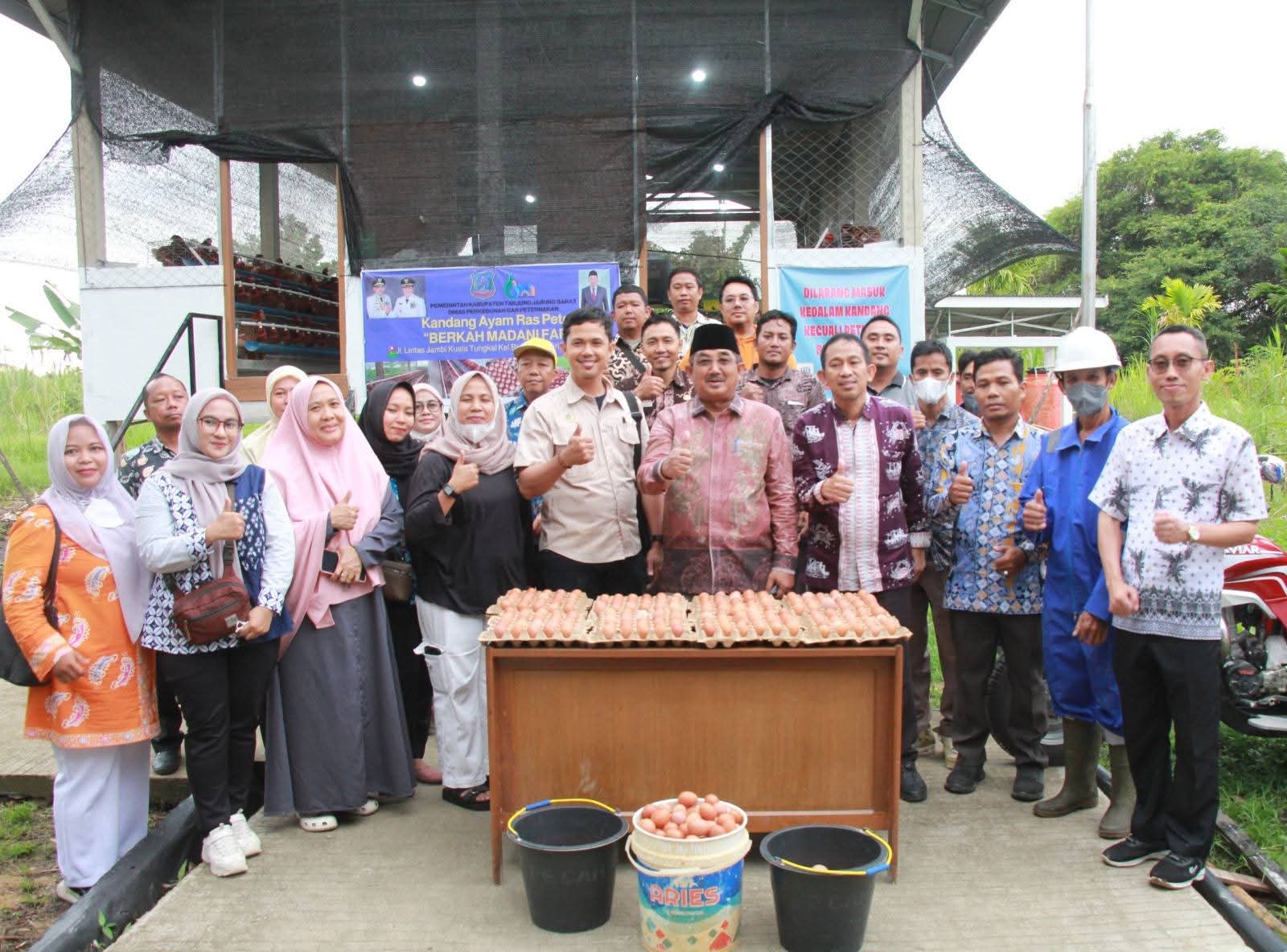 Berkah Madani Farm Perkuat Ketahanan Pangan dan Ekonomi Masyarakat