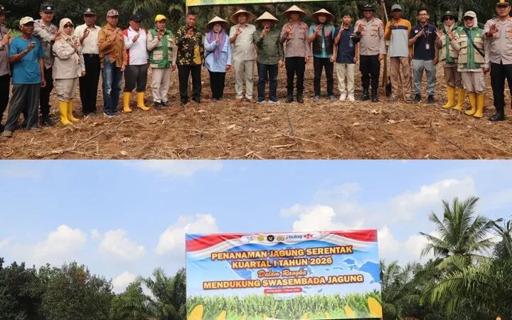 Mendukung Ketahanan Pangan Program Asta Cita Asisten II Setda Musi Rawas Hadir Penanaman Jagung Serentak