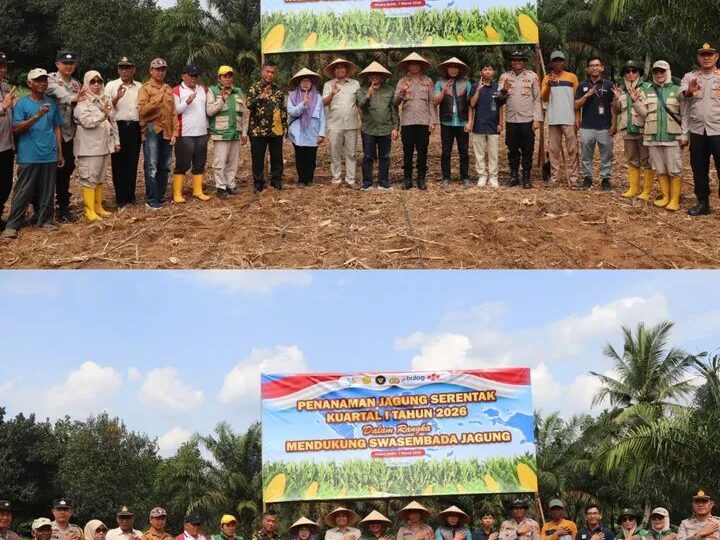 Mendukung Ketahanan Pangan Program Asta Cita Asisten II Setda Musi Rawas Hadir Penanaman Jagung Serentak