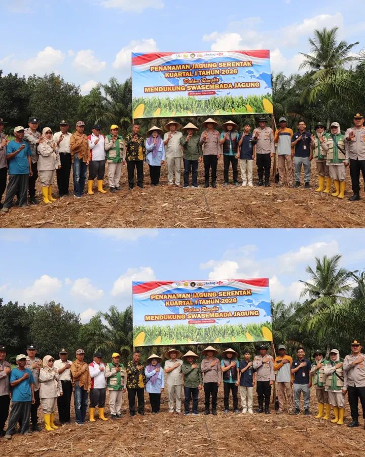 Mendukung Ketahanan Pangan Program Asta Cita Asisten II Setda Musi Rawas Hadir Penanaman Jagung Serentak