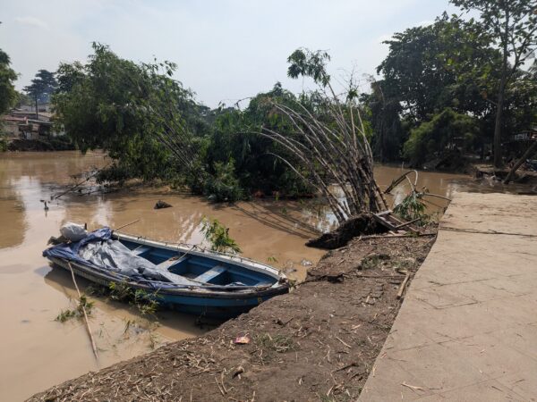 Penanganan Hutan Bambu Dinilai Lambat, DPRD Minta Pemkot Bergerak Cepat