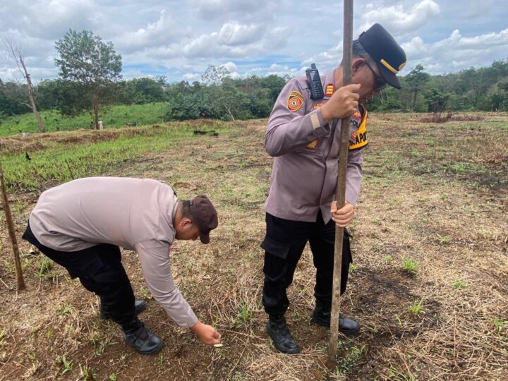 Polsek Lubuk Linggau Timur Berharap Dapat Memberikan Manfaat Nyata Bagi Kesejahteraan Masyarakat dan Memperkuat Kemandirian Pangan di wilayah Kota Lubuk Linggau