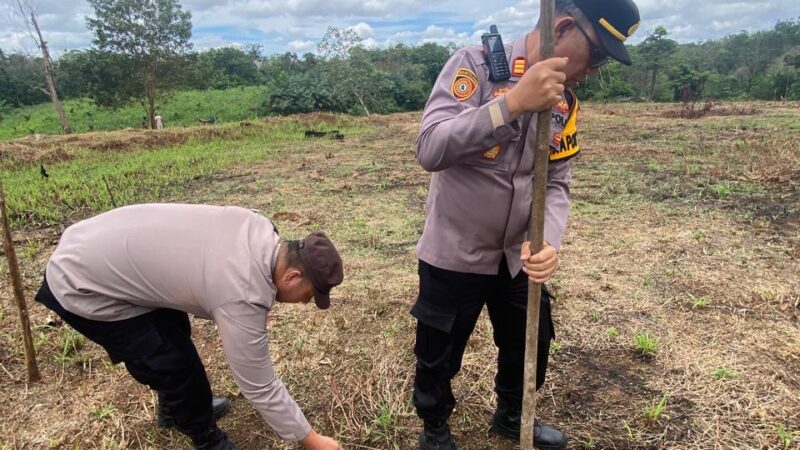 Polsek Lubuk Linggau Timur Berharap Dapat Memberikan Manfaat Nyata Bagi Kesejahteraan Masyarakat dan Memperkuat Kemandirian Pangan di wilayah Kota Lubuk Linggau