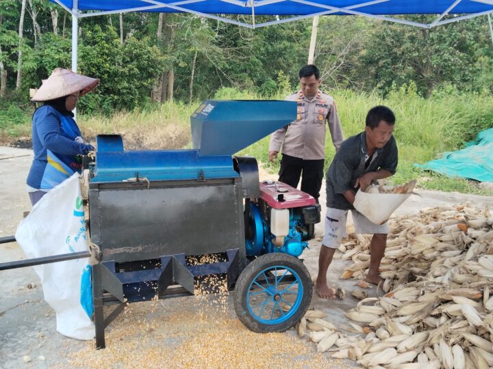 Dukung Ketahanan Panga, Polres Lubuklinggau Dampingi Masyarakat Uji Coba Mesin Pipil Jagung