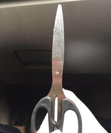 Habisi Nyawa Gunakan Gunting Polisi Malra Bekuk Pelaku 