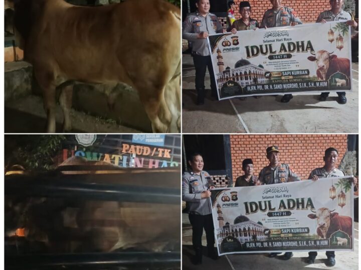 Kapolda Sumsel Irjen Pol. Dr. H. Sandi Nugroho, S.I.K., S.H., M.Hum., Berkurban Berupa Dua Ekor Sapi Berukuran Jumbo di Kota Lubuk Linggau