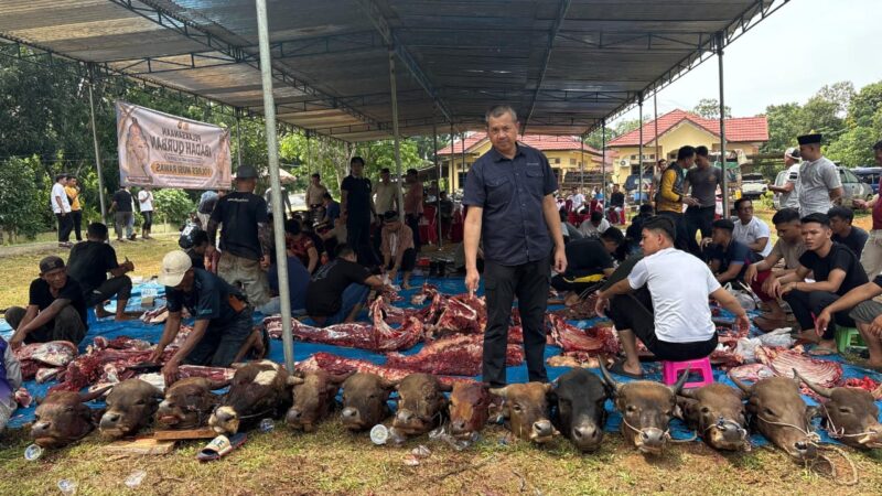Sinergi dan Kepedulian: Polres Musi Rawas Bersama Polsek Jajaran Kurbankan 61 Ekor Hewan pada Idul Adha 1445 H