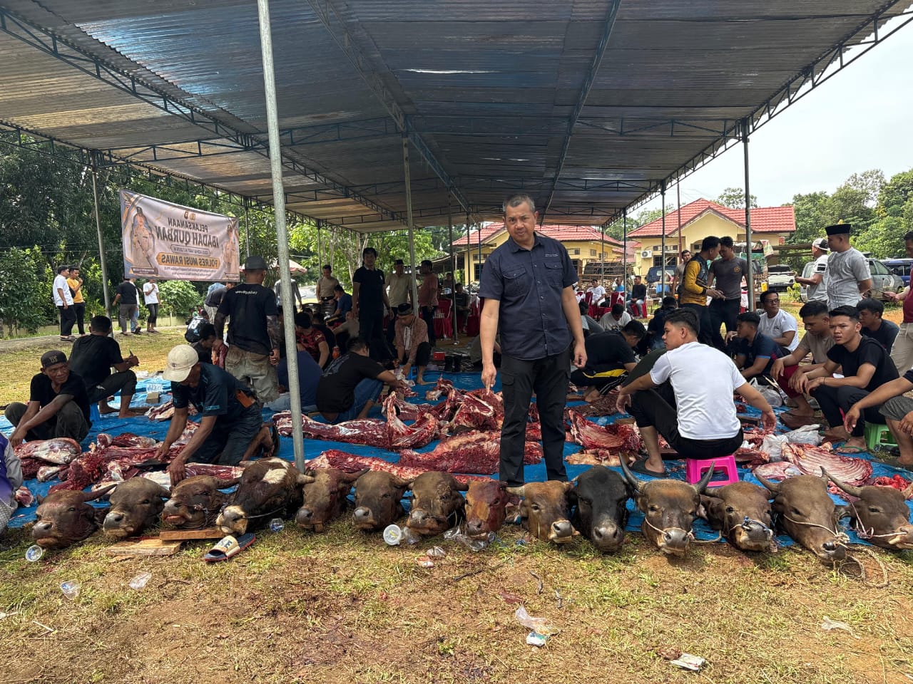 Sinergi dan Kepedulian: Polres Musi Rawas Bersama Polsek Jajaran Kurbankan 61 Ekor Hewan pada Idul Adha 1445 H