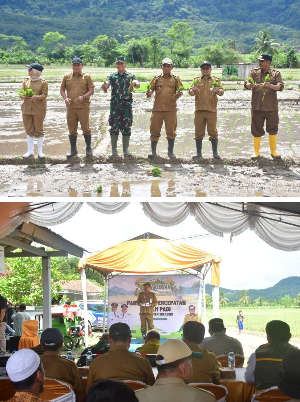 Gerakan Panen Padi, Bupati Tegaskan Kec Ciemas Salah Satu Penopang Swasembada Pangan di Sukabumi
