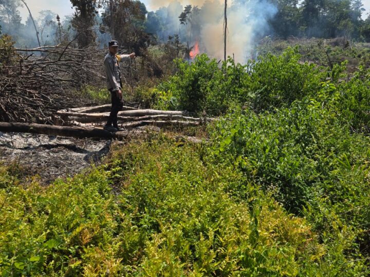 Buka Lahan Dengan Cara Dibakar, Warga Lubuklinggau Utara Diamankan