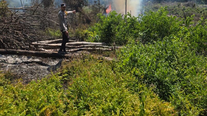 Buka Lahan Dengan Cara Dibakar, Warga Lubuklinggau Utara Diamankan