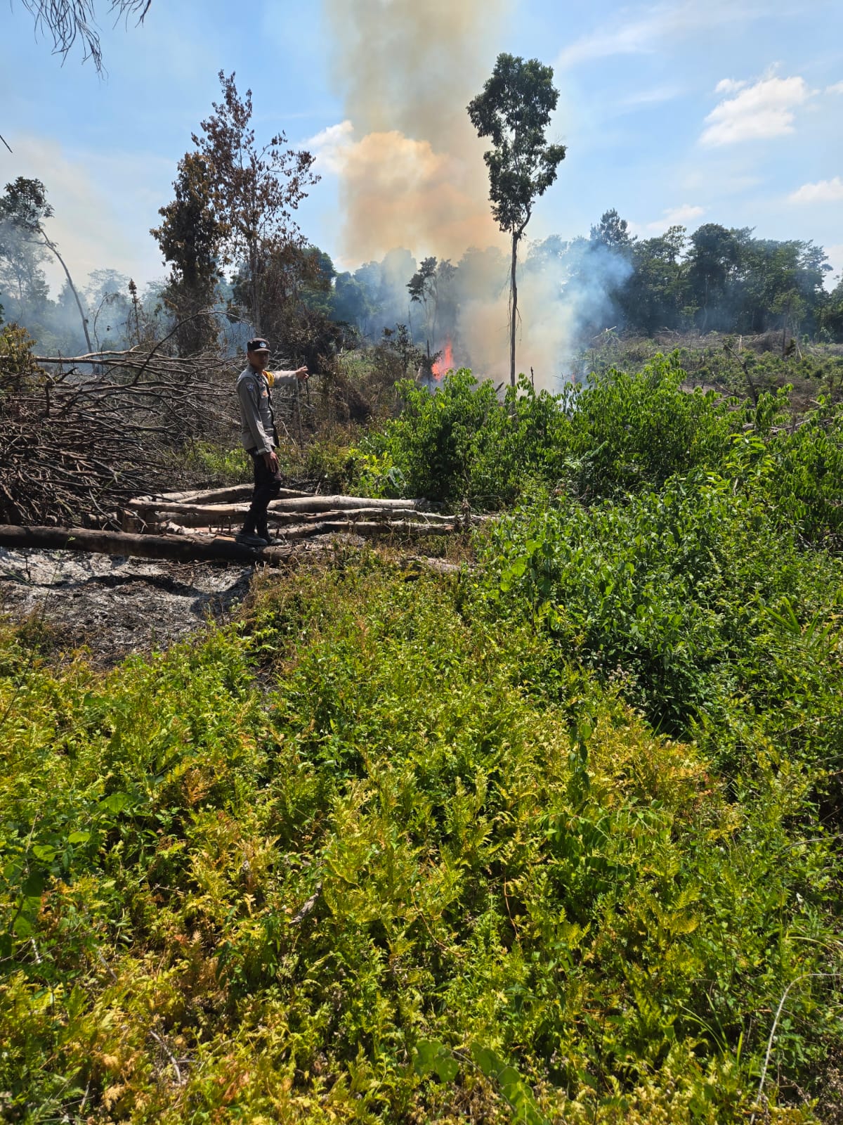 Buka Lahan Dengan Cara Dibakar, Warga Lubuklinggau Utara Diamankan