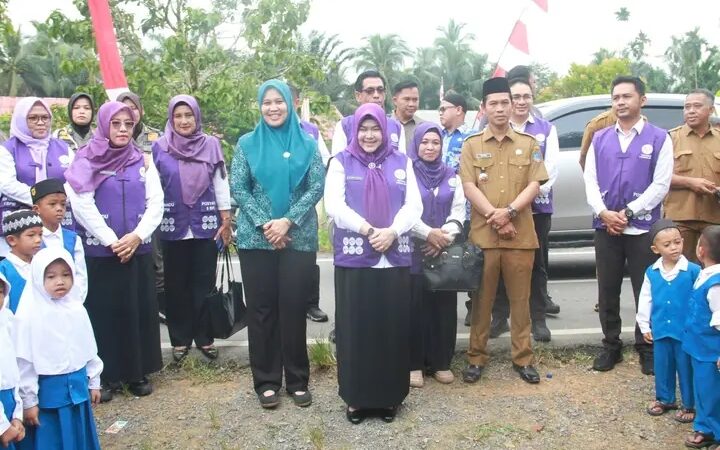 Ketua Tim Pembina Posyandu Tanjab Barat Tinjau Pelaksanaan Posyandu 6 Bidang SPM di Kecamatan Pengabuan