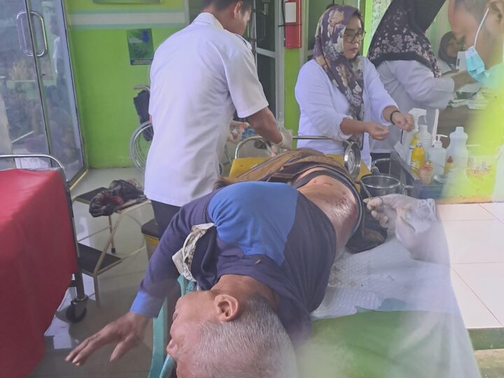 Seorang Petani Terluka Diserang Beruang Liar saat Menyadap Karet