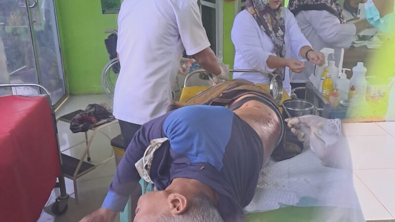 Seorang Petani Terluka Diserang Beruang Liar saat Menyadap Karet