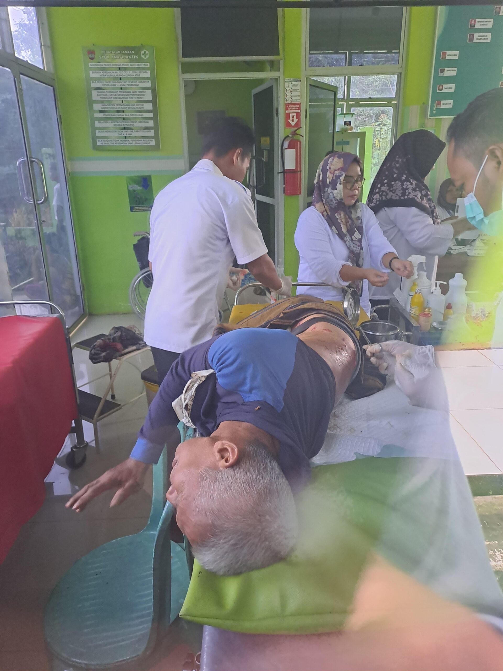 Seorang Petani Terluka Diserang Beruang Liar saat Menyadap Karet